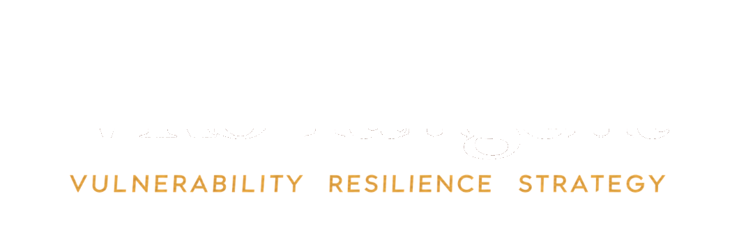 VRS Tangent - Vulnerability Resilience Strategy